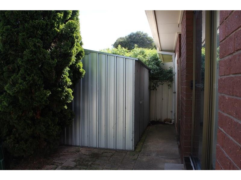 3/299 Kaitlers Road, Lavington NSW 2641
