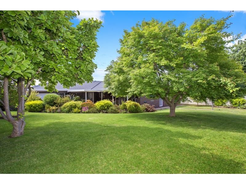 19 Hamilton Valley Ct, Lavington NSW 2641