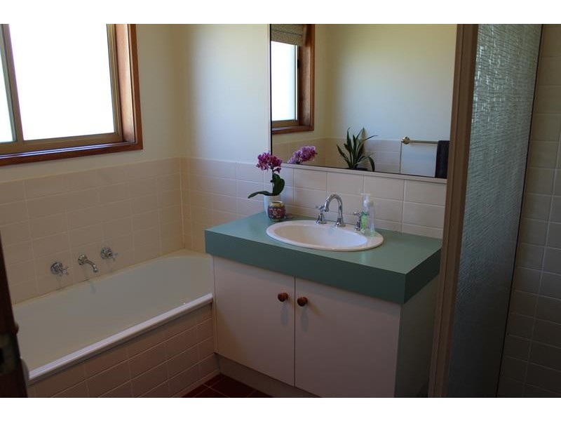 4/577 Webb St, Lavington NSW 2641