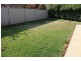 8 Bruno  Pl, Lavington NSW 2641
