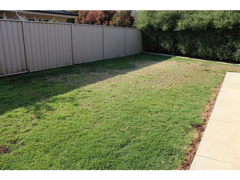 8 Bruno  Pl, Lavington NSW 2641