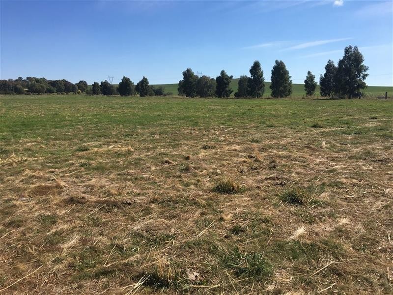 2/67 Dunwandren Lane, Jindera NSW 2642