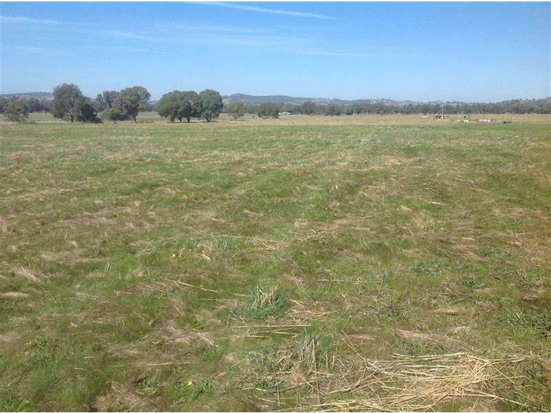 2/67 Dunwandren Lane, Jindera NSW 2642