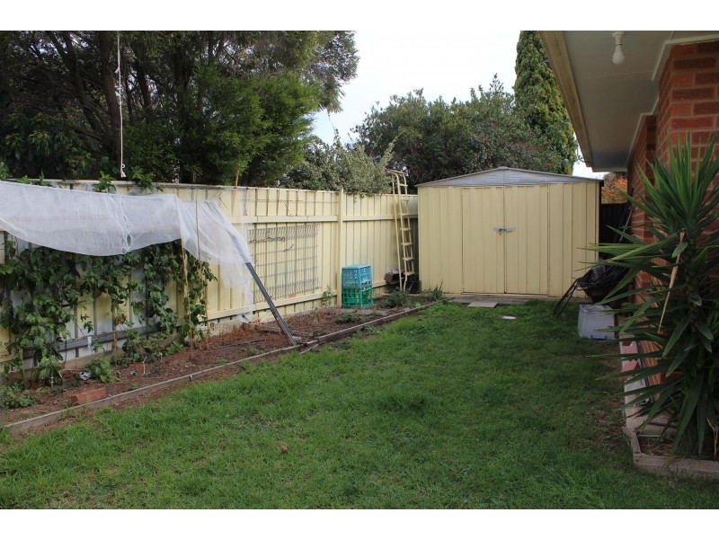 2/34 Saville Avenue, Lavington NSW 2641