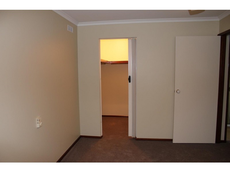 1 Budginigi Place, Thurgoona NSW 2640