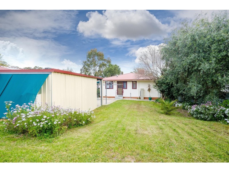 19 Waratah Crescent, West Albury NSW 2640