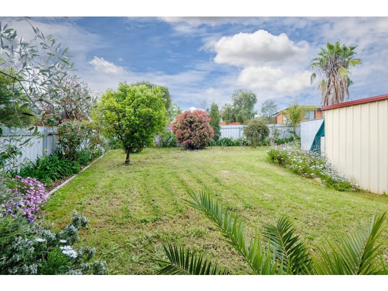 19 Waratah Crescent, West Albury NSW 2640