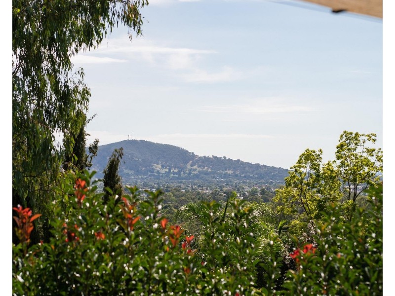 801 DELANY Street, Albury NSW 2640