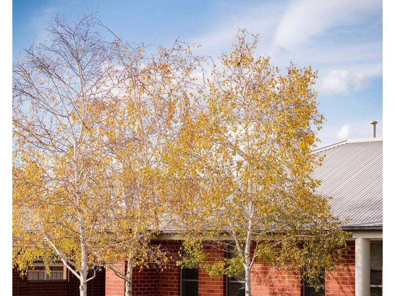 6 Firetail Street, Thurgoona NSW 2640