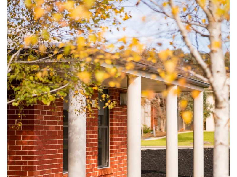 6 Firetail Street, Thurgoona NSW 2640