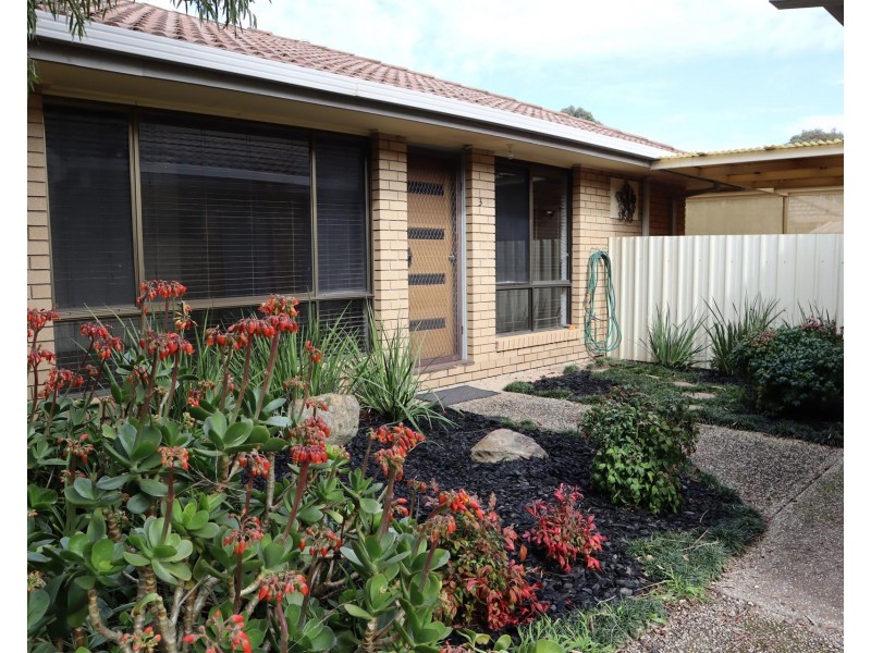 3/337 Kaitlers Road, Lavington NSW 2641