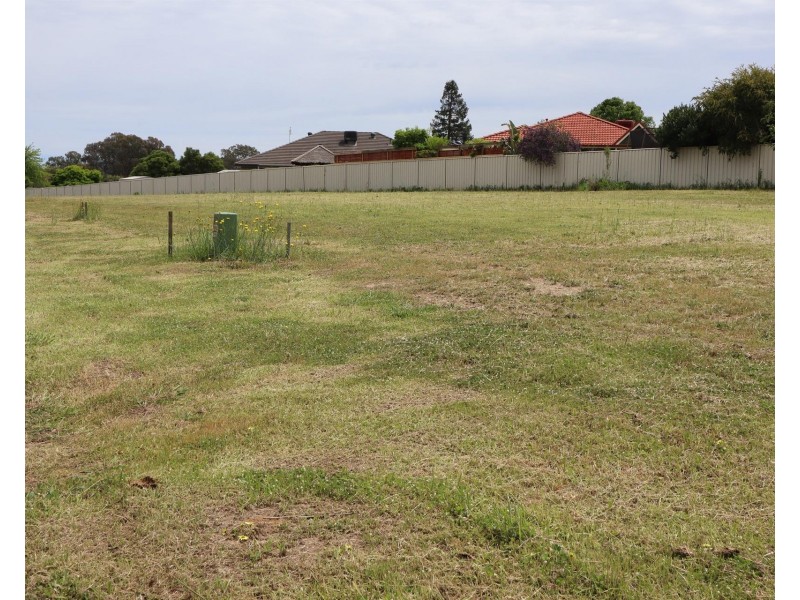 Meera Court, Lavington NSW 2641