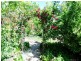 7 Orchid St, Colo Vale NSW 2575