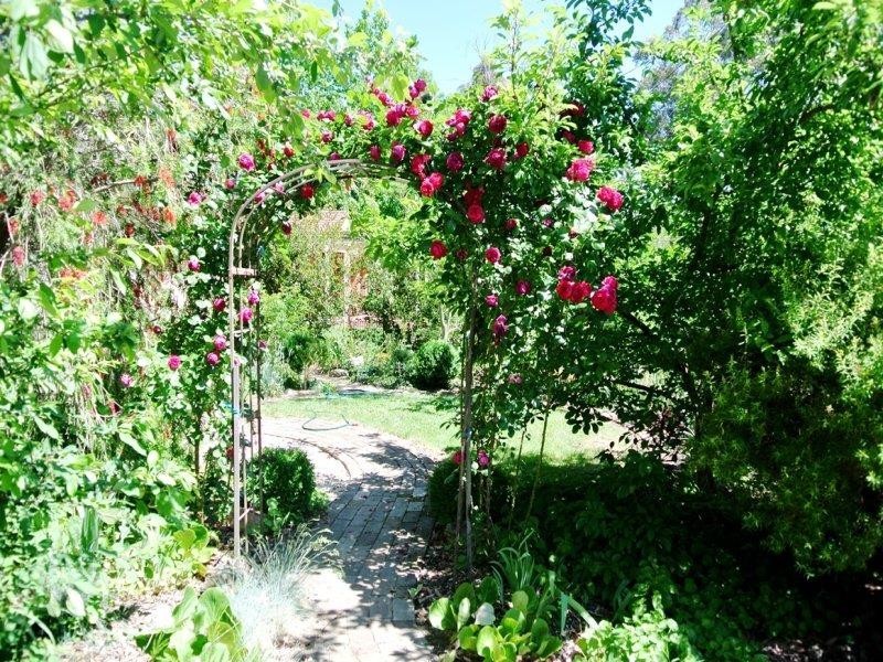 7 Orchid St, Colo Vale NSW 2575