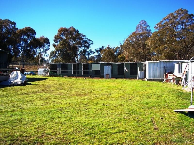 46 Andersons Rd, Uralla NSW 2358
