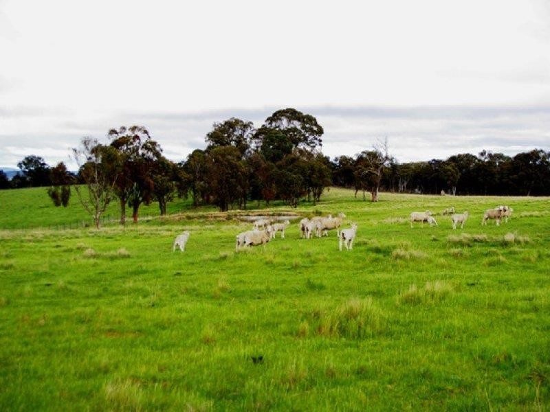 6362 New England Hwy, Uralla NSW 2358