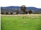 6362 New England Hwy, Uralla NSW 2358