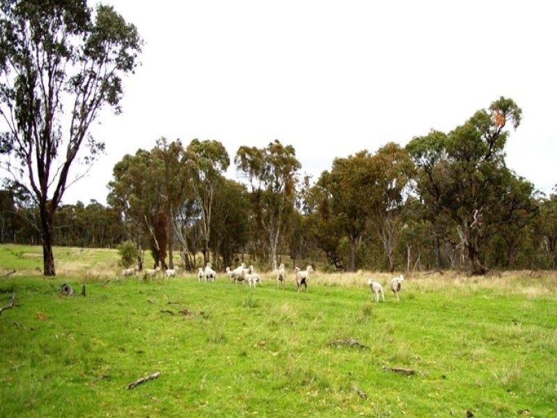 6362 New England Hwy, Uralla NSW 2358