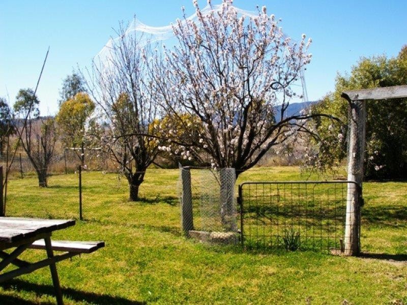 3894 Rocky Creek Rd, Bonshaw NSW 2361