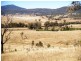 3894 Rocky Creek Rd, Bonshaw NSW 2361