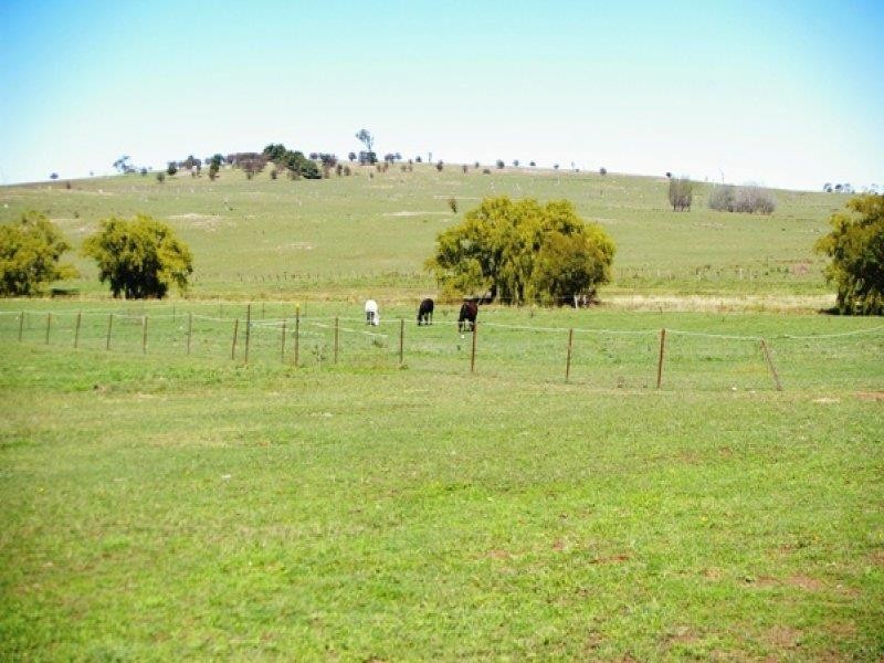 340 Heathersleigh Rd, Kellys Plains NSW 2350