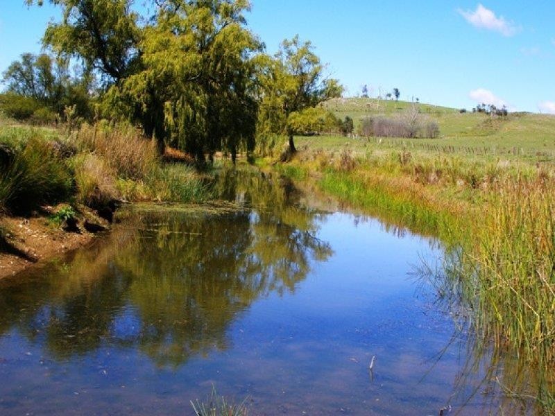 340 Heathersleigh Rd, Kellys Plains NSW 2350