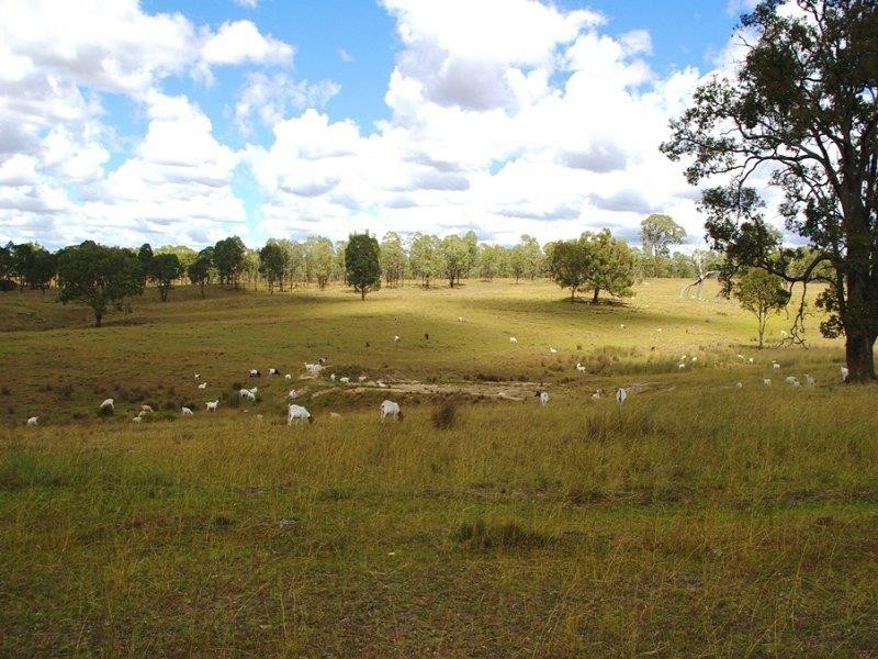 984 Bakers Creek Rd, Bundarra NSW 2359