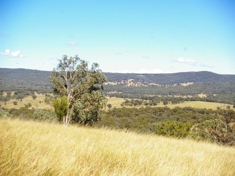 984 Bakers Creek Rd, Bundarra NSW 2359