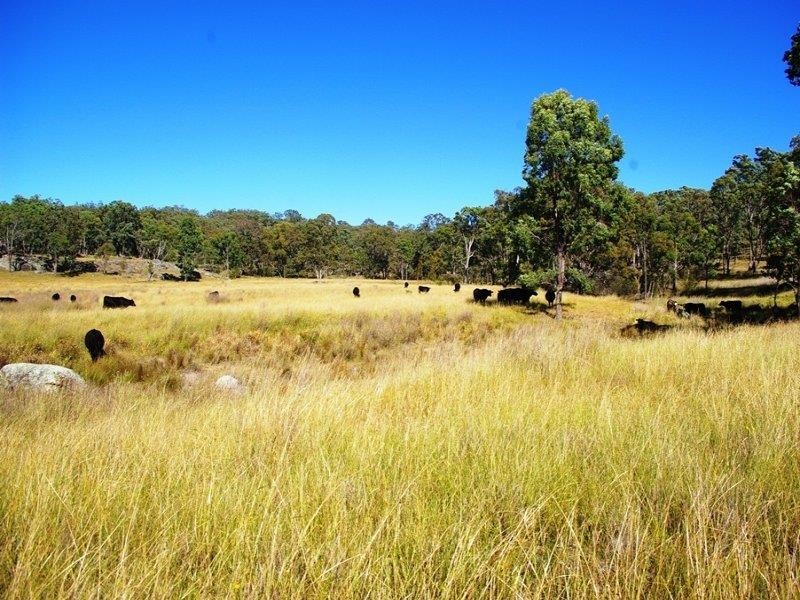 984 Bakers Creek Rd, Bundarra NSW 2359