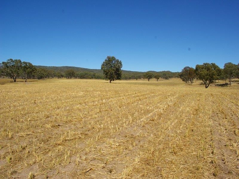 984 Bakers Creek Rd, Bundarra NSW 2359