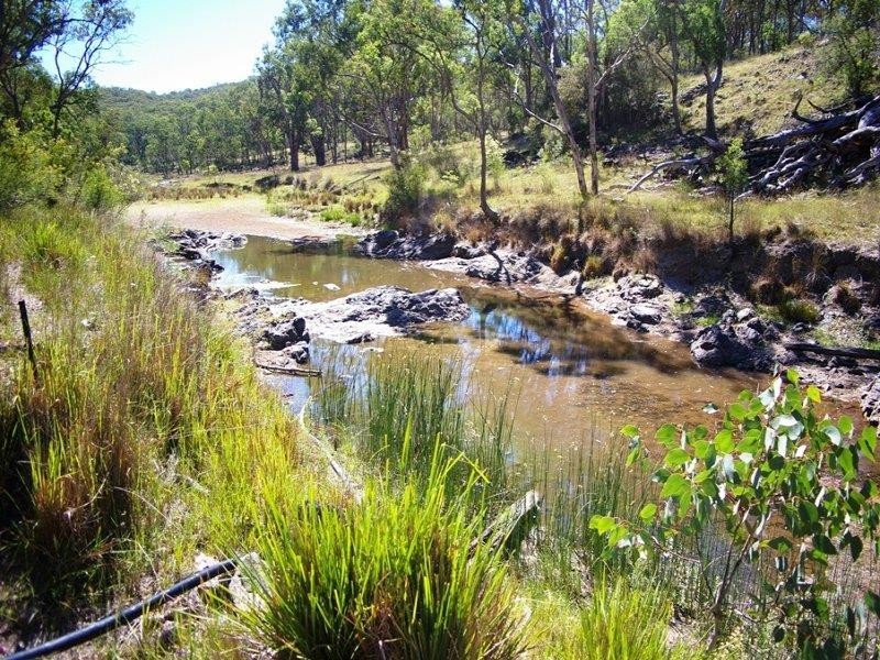 984 Bakers Creek Rd, Bundarra NSW 2359