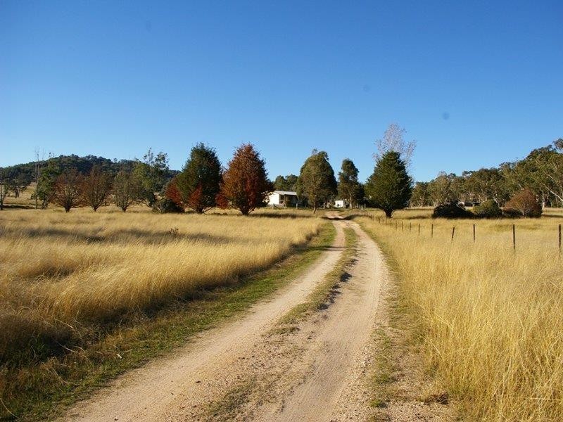 38 Green Valley Rd, Bendemeer NSW 2355