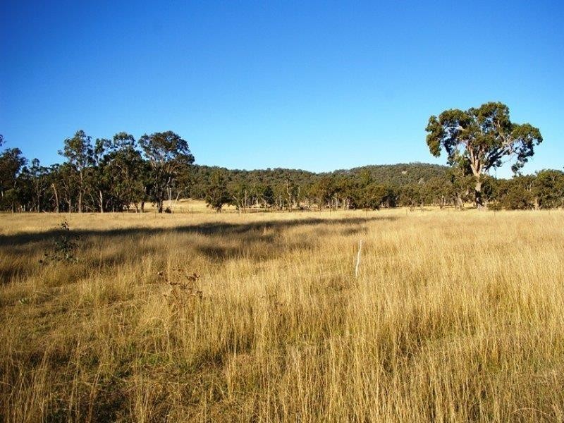 38 Green Valley Rd, Bendemeer NSW 2355