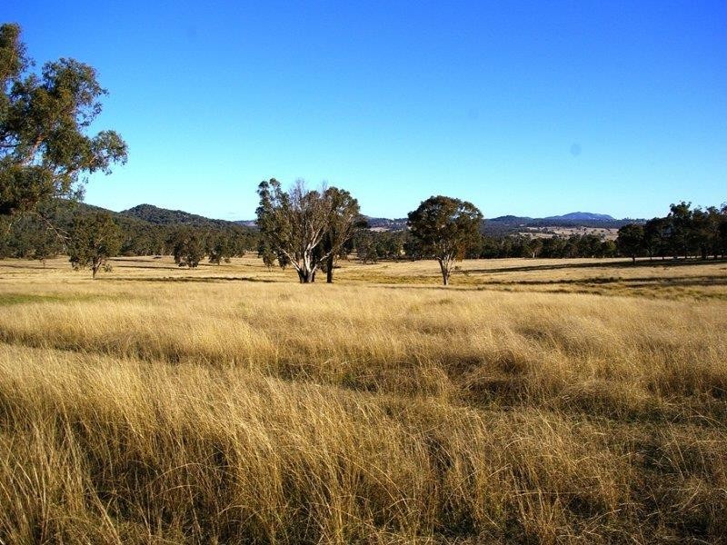 38 Green Valley Rd, Bendemeer NSW 2355