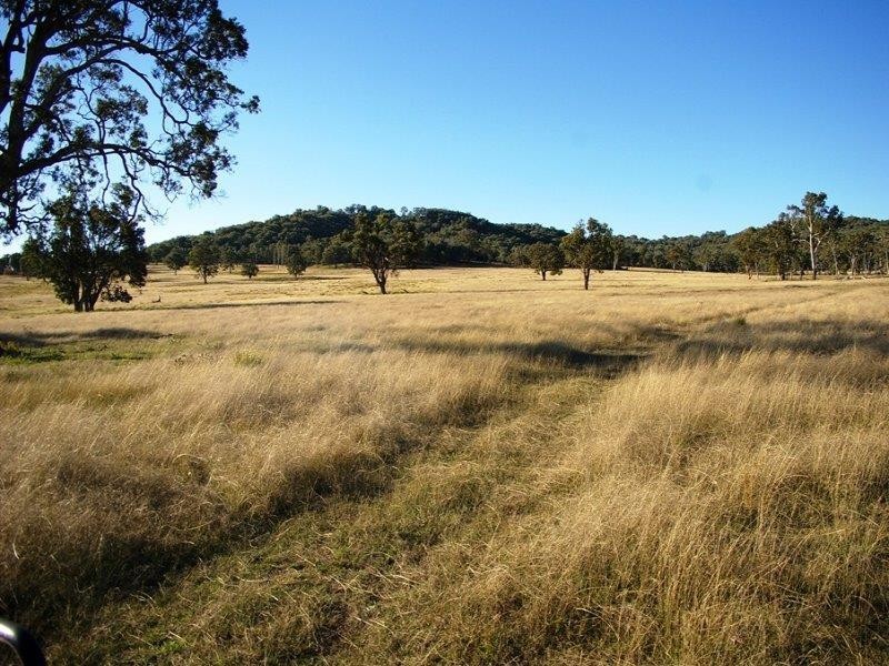 38 Green Valley Rd, Bendemeer NSW 2355