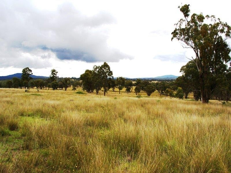 1147 Retreat Rd, Uralla NSW 2358