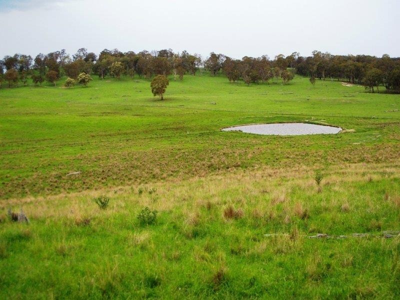 - Hillview Rd, Uralla NSW 2358