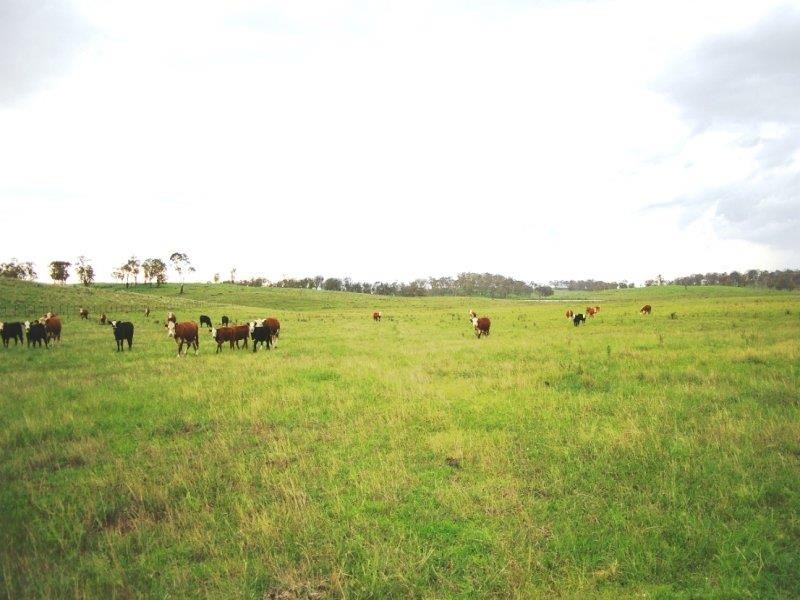 - Hillview Rd, Uralla NSW 2358
