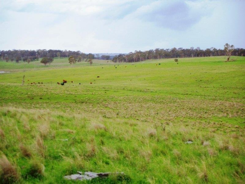 - Hillview Rd, Uralla NSW 2358