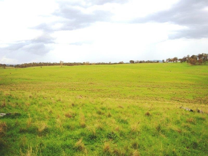 - Hillview Rd, Uralla NSW 2358