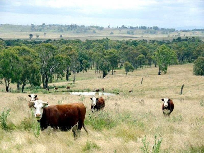- Hillview Rd, Uralla NSW 2358