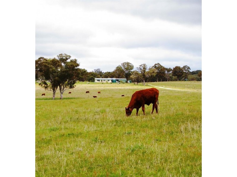 471 Watsons Creek-tilmunda Rd, Watsons Creek NSW 2355