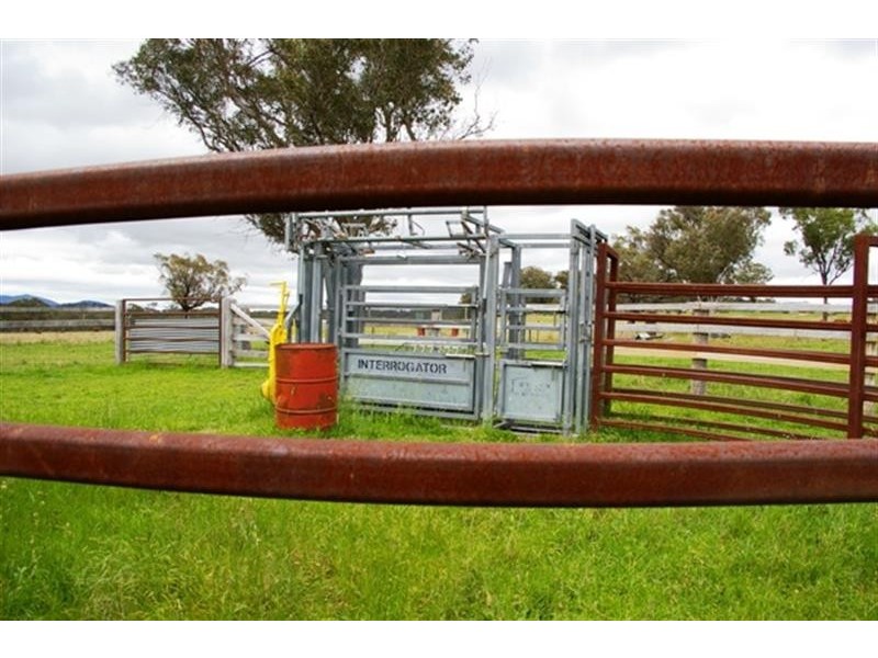 471 Watsons Creek-tilmunda Rd, Watsons Creek NSW 2355