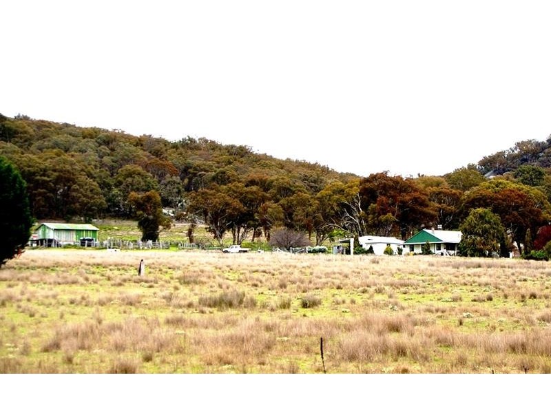 321 Lindon  Rd, Balala NSW 2358