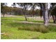 321 Lindon  Rd, Balala NSW 2358