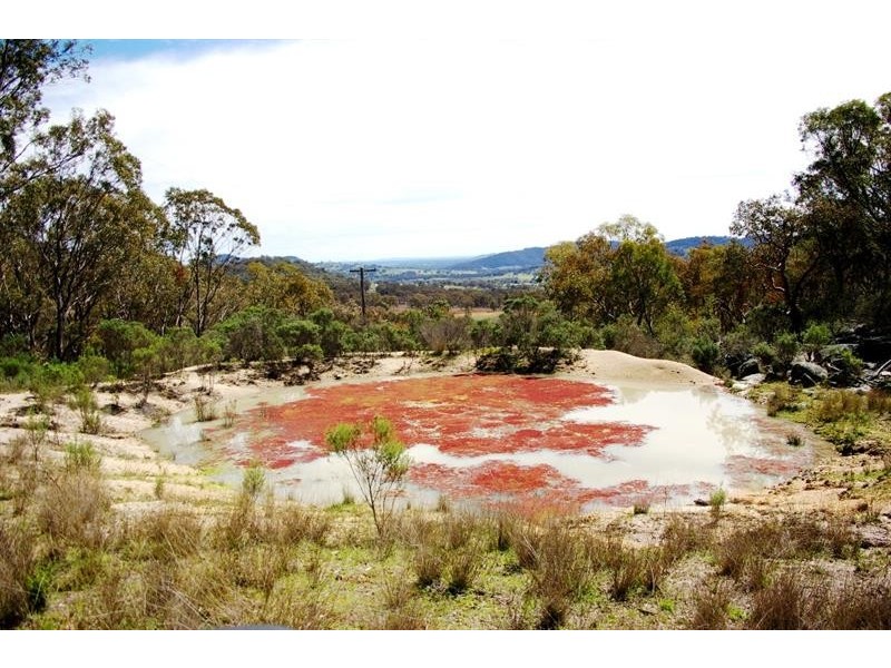 321 Lindon  Rd, Balala NSW 2358