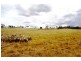 321  Linton Rd, Balala NSW 2358