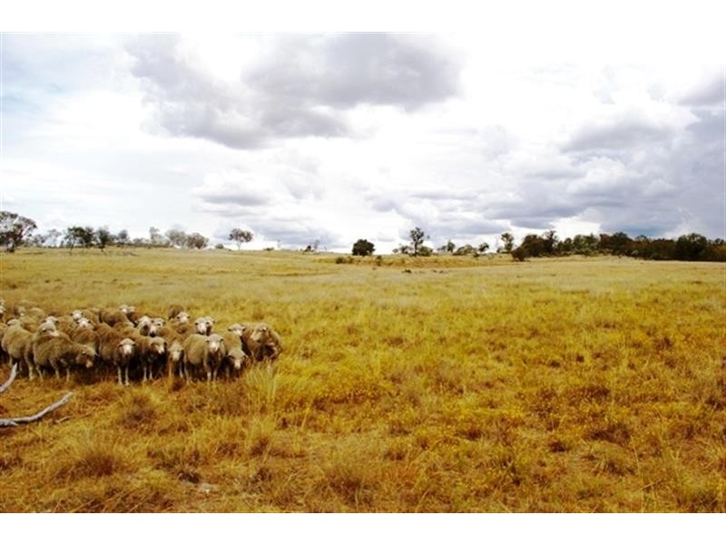321  Linton Rd, Balala NSW 2358