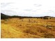321  Linton Rd, Balala NSW 2358