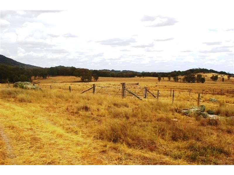 321  Linton Rd, Balala NSW 2358